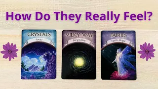 💗HOW DO THEY REALLY FEEL? 💞PICK A CARD 💘 LOVE TAROT READING 🌷 TWIN FLAMES 👫 SOULMATES