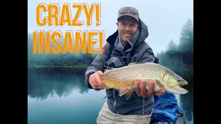 Trevor catches a MONSTER Tiger Trout!