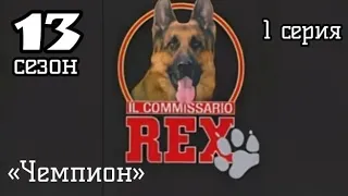 Комиссар Рекс, 13 сезон, 1 серия «Чемпион»