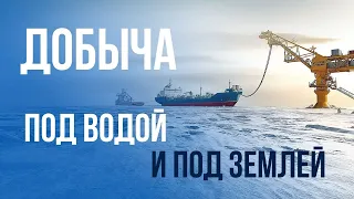 Риски освоения арктического шельфа