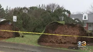 Severe Storms Leave Flooding, Downed Trees Scattered Across Delaware Valley