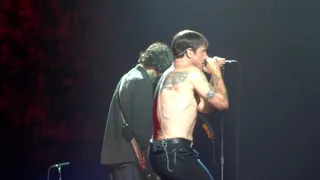 Red Hot Chili Peppers - Don't Forget Me (Sydney II, 2019)