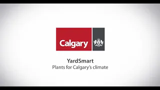 City of Calgary - Yardsmart - Plants for Calgary's Climate