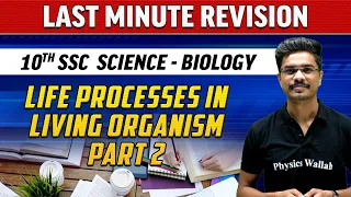 Last Minute Revision | 10th SSC Science - Biology | Life Processes in Living Organism Part - 2