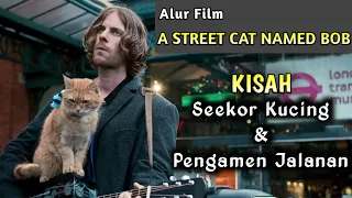 Kisah Seekor Kucing dan Pengamen Jalanan Miskin | Alur Film A STREET CAT NAMED BOB (2016)