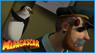 DreamWorks Madagascar | Taking Over The Ship | Madagascar Movie Clip