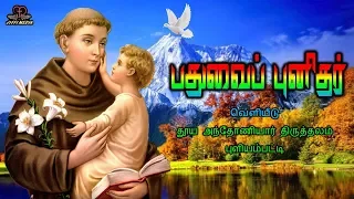 Tamil Christian | பதுவைப் புனிதர் அந்தோணியார்