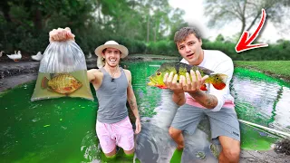 1v1 Catching COLORFUL EXOTIC fish for Backyard Pond Challenge!