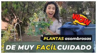 😮😳🍃¿Puedes creer que hay PLANTAS que sólo las debes REGAR 1️⃣ VEZ AL MES?🌿😎🤯