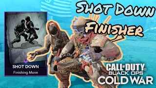 Shot Down Finishing Move (TRACER PACK GHOST OF WAR BUNDLE) | Black Ops Cold War | Season 6