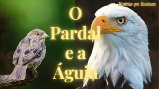 O Pardal e a Águia | Histórias que Iluminam