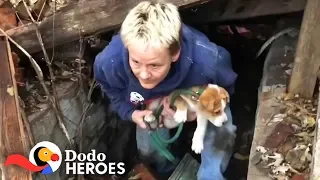 Heroes Risk Their Lives To Save Man’s Best Friend | The Dodo