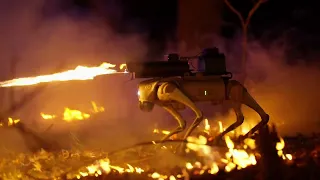 Flame-Throwing Robot Dog Available to Buy in US