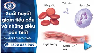 Xuất huyết giảm tiểu cầu - Bác sĩ Chuyên khoa I Đinh Thị Tuyến - Trung tâm Huyết học - Truyền máu