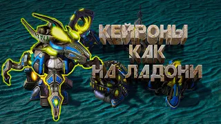 Наивные в бункере, бочка меда, "традиции" Blizzard. Десять минут разговора о кейронах как идее.