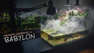 Aquaterrarium for CRAB & BETTAFISH Hanging Garden of Babylon