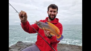 Lure fishing for Pollock and Wrasse at West Wales