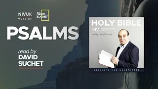 The Complete Holy Bible - NIVUK Audio Bible - 19 Psalms