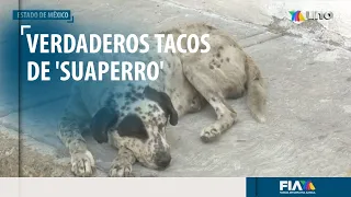 Edomex: Detienen a dos sujetos por vender tacos de perro afuera del metro Tacuba