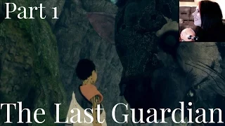 THE LAST GUARDIAN - FREEING TRICO - PART 1