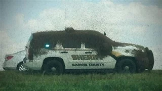 Swarms of Bees Escape in Oklahoma
