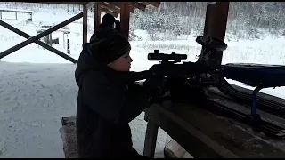 сайга 308