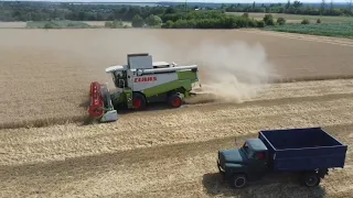 Жнива 2023. Озима пшениця. Claas Lexion 480.