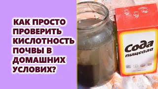 Как можно просто и легко определить кислотность почвы в домашних условиях?