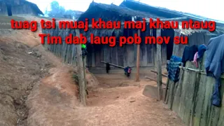 dab laug pob mov su yog npua qhauv18-1-2020