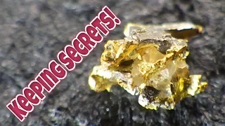 Gold Processing plant's first big run. (Hard rock crystal nuggets!)