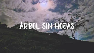 Arbol sin hojas - Dread mar I ▶ Letra