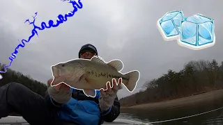 Winter Bass Fishing Lake Raystown! (38 DEGREE Water Temp!)