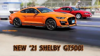 NEW VS OLD! BRAND NEW '21 SHELBY GT500 MUSTANG RACES '91 AND '96 MUSTANGS!