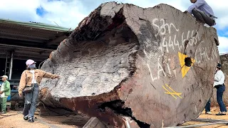 The World's Largest Wood Processing Factory // Giant Wood Sawing Machine Operating At Full Capacity