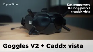 Как подружить очки DJI Goggles V2 и Сaddx vista?