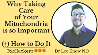 Why Taking Care of Your Mitochondria is So Important (+ How To Do It) • Dr Lee Know ND