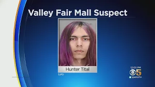 Police Identify Suspect Who Threatened to Shoot Up San Jose Valley Fair Mall