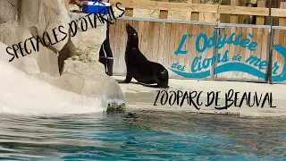 Spectacles d'otaries du ZooParc de Beauval 2017