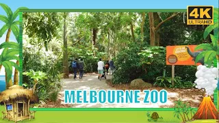 Melbourne ZOO Australia  - walking Tour DJI OSMO pocket 4K