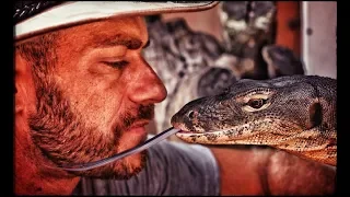 Feeding ALL kamp kenan sanctuary Lizards!