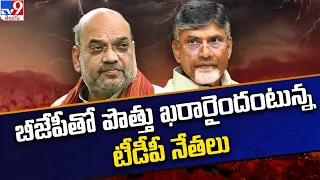 బీజేపీతో పొత్తు ఖరారైందంటున్న టీడీపీ నేతలు! - TV9