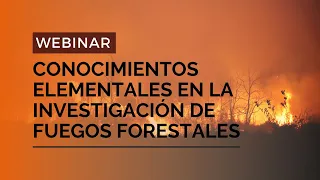 INTRODUCCIÓN A LA INVESTIGACIÓN DE FUEGO FORESTAL / pirolisis.com/ifn2023