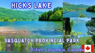 Canada Road Trip | Hicks Lake | Sasquatch Provincial Park | British Columbia, Canada