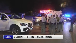 2 juveniles arrested in carjacking after crashing into squad car, police say