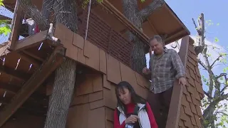 'Boney Island' Treehouse faces teardown