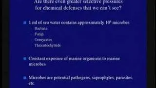 Survival in the Sea: Biochemical Warfare - Perspectives on Ocean Science