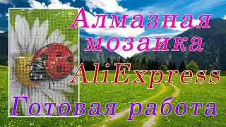 Алмазная мозаика с Алиэкспресс. Божья коровка на ромашке. Процесс выкладки и готовая работа.