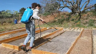 Preventivo FÁCIL y NATURAL para Plagas con Cola de Caballo | Os presento a Matabi