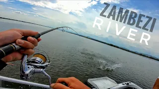 Tigerfish and Chessa - Lower Zambezi - Zimbabwe