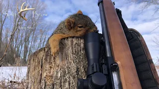 Squirrel Hunting - 13 squirrels in 3 hunts! - Comparing the Ruger 10/22 lr vs. the Savage .22 wmr